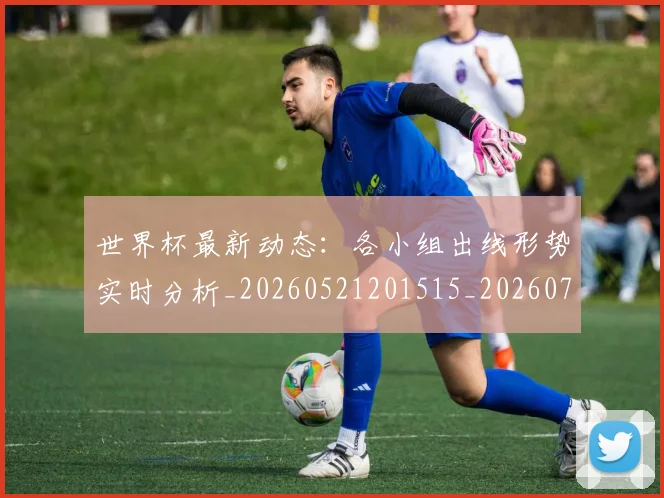 世界杯最新动态:各小组出线形势实时分析_20260521201515_20260702173955