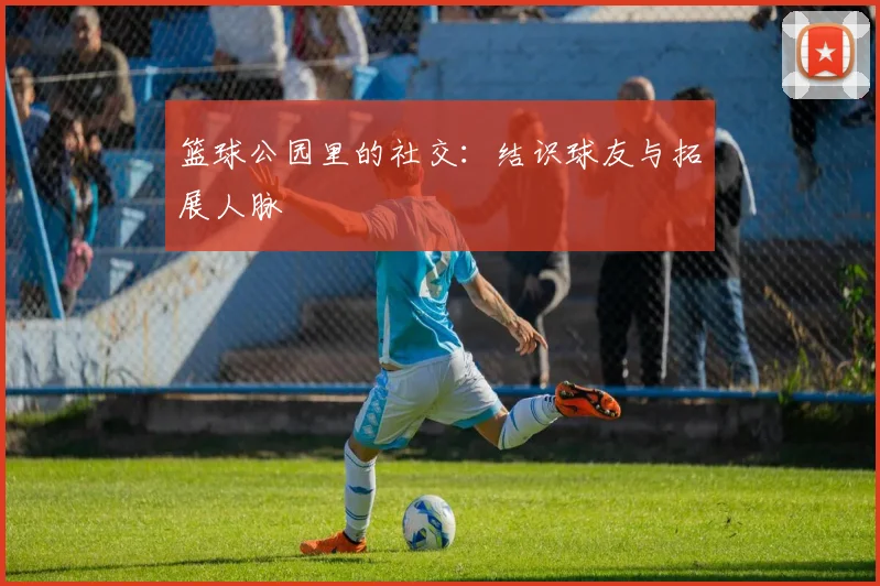 篮球公园里的社交:结识球友与拓展人脉