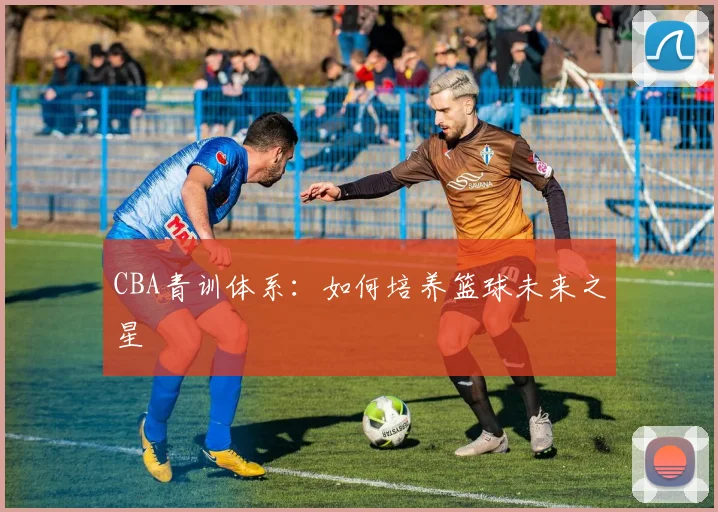 CBA青训体系：如何培养篮球未来之星