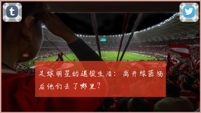 足球明星的退役生活：离开绿茵场后他们去了哪里？