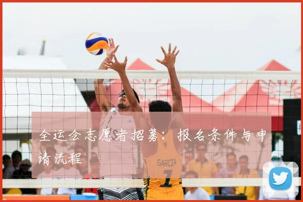 全运会志愿者招募：报名条件与申请流程