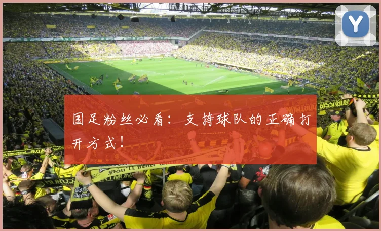 国足粉丝必看：支持球队的正确打开方式！
