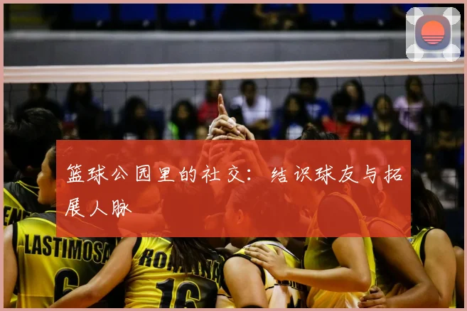 篮球公园里的社交：结识球友与拓展人脉